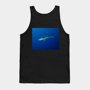 Caribbean Reef Shark Tank Top